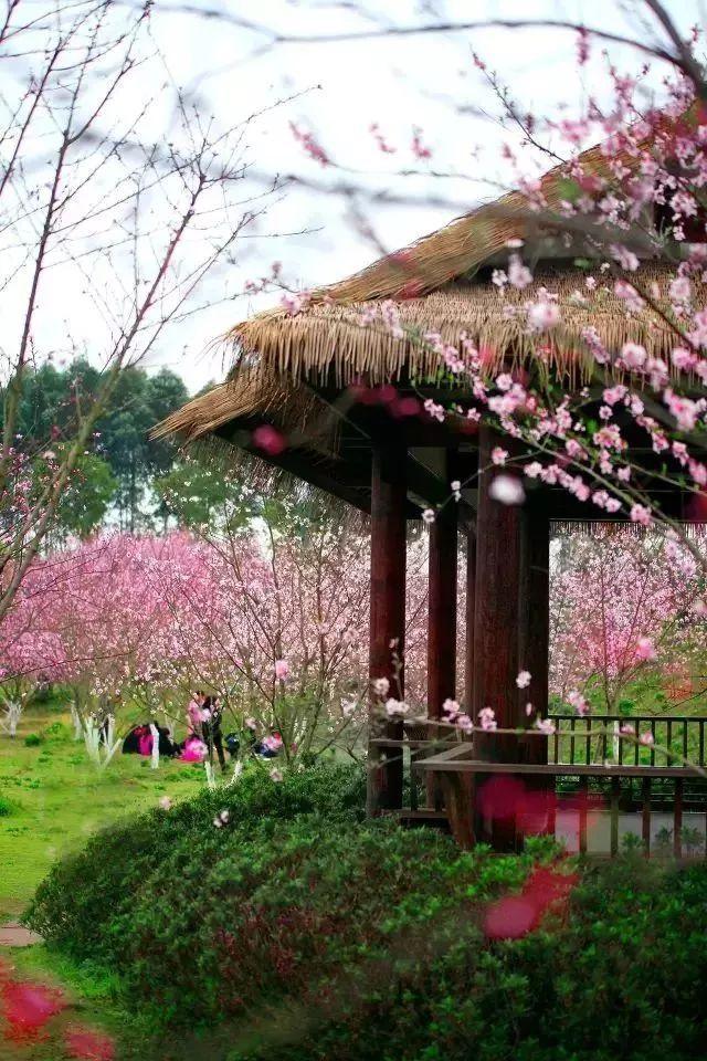 雾芯科技盘中异动 早盘大幅拉升5.06%